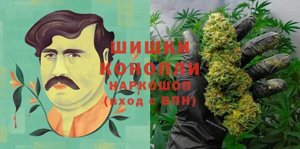 гашик Богданович